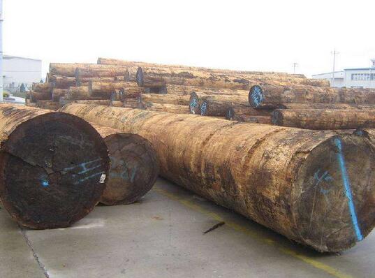宁波口岸2016年非洲木材进口增长24倍