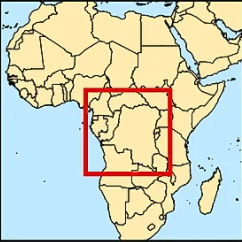 你了解非洲刚果盆地的木材产区吗？